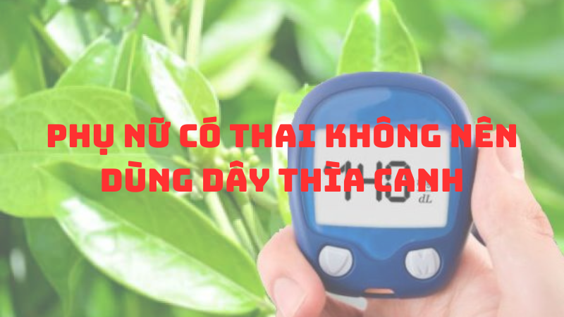 Không nên dùng dây thìa canh cho phụ nữ mang thai