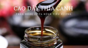 Cao dây thìa canh - Thần dược chữa bệnh tiểu đường 2