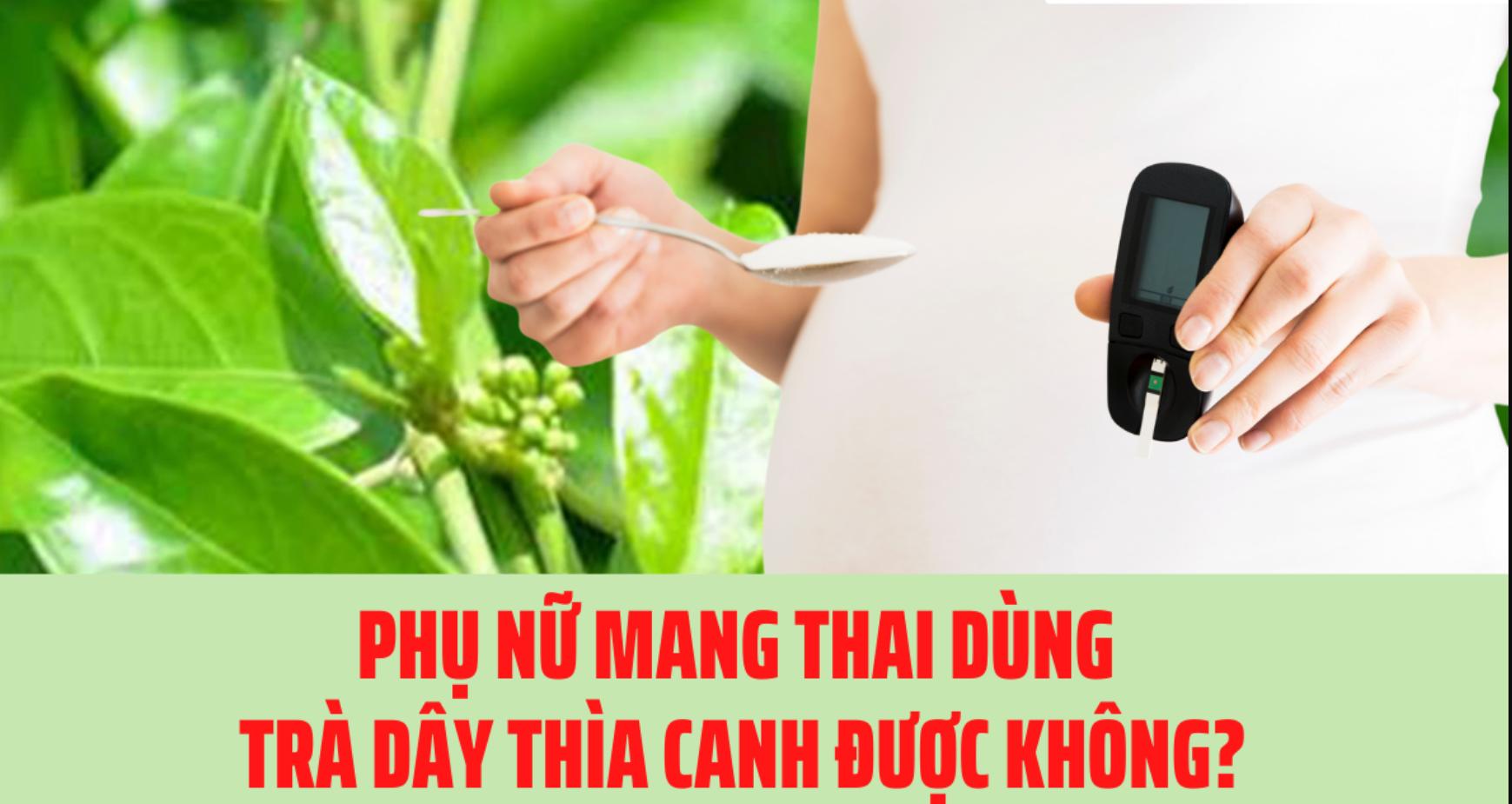 Bà bầu có uống được dây thìa canh không? Tại sao?