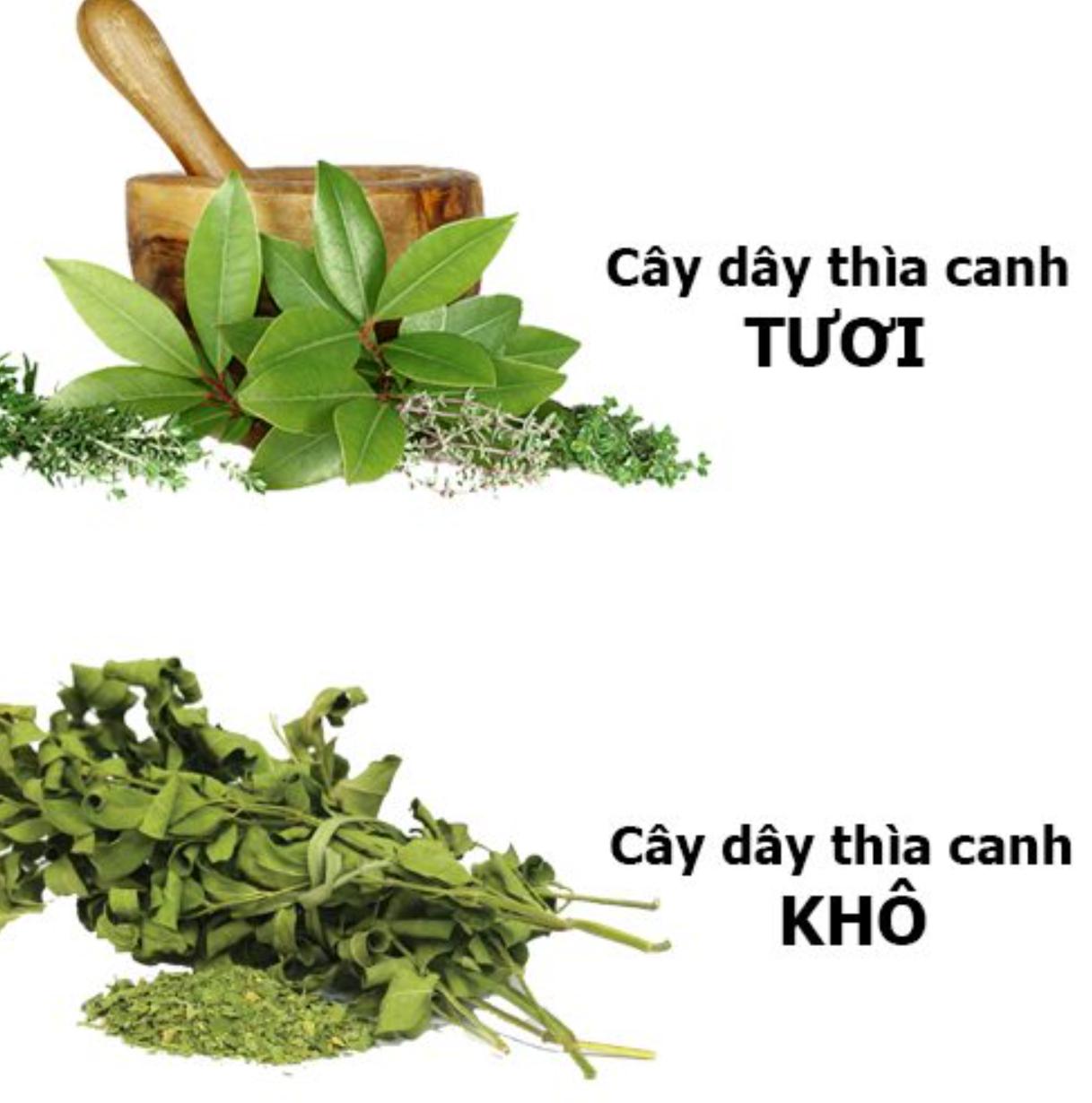 Cách nhận biết dây thìa canh thật - giả khi dùng